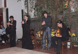 Flamenco show at Casa de la Memoria, Seville