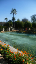 Alcazar gardens